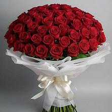 Букет 101 Красная роза Блэк Мэджик в Шкуропатове