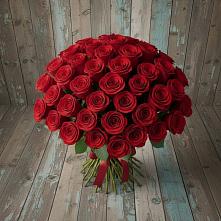 Букет 55 Красных роз Фридом #REPLACE_PRED# Шкуропатове