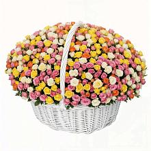 Премиум букет из: Розы в Шкуропатове