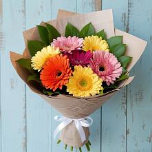 Букет цветов из:  Герберы в Шкуропатове
