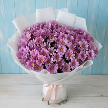 Букет цветов из:  Хризантемы в Шкуропатове