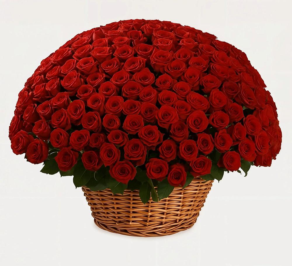 Премиум букет из: Розы в Шкуропатове