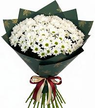 Букет цветов из:  Хризантемы в Шкуропатове