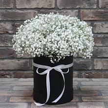 Цветочная композиция из Гипсофила в шляпной коробке в Шкуропатове