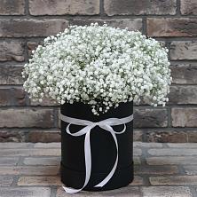 Цветочная композиция из Гипсофила в шляпной коробке в Шкуропатове