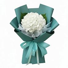 Букет цветов из:  Гортензия в Шкуропатове